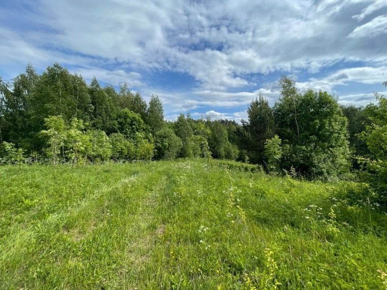 Parduodamas  sklypas Tintiniškių k., Vilniaus r. sav., 361 a ploto 1