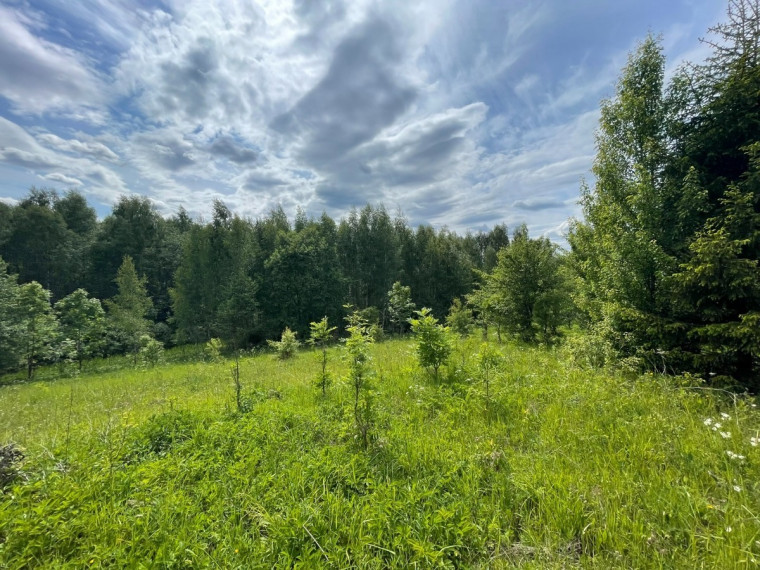 Parduodamas sklypas Tintiniškių k., Vilniaus r. sav., 361 a ploto 4