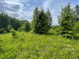 Parduodamas  sklypas Tintiniškių k., Vilniaus r. sav., 361 a ploto 5