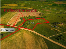 Parduodamas  sklypas Klevų g., Kiemelių k., Vilniaus r. sav., 100 a ploto 10