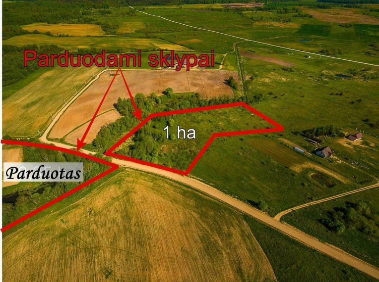 Parduodamas  sklypas Klevų g., Kiemelių k., Vilniaus r. sav., 100 a ploto 10
