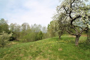 Parduodamas  sklypas Klevų g., Kiemelių k., Vilniaus r. sav., 100 a ploto 13