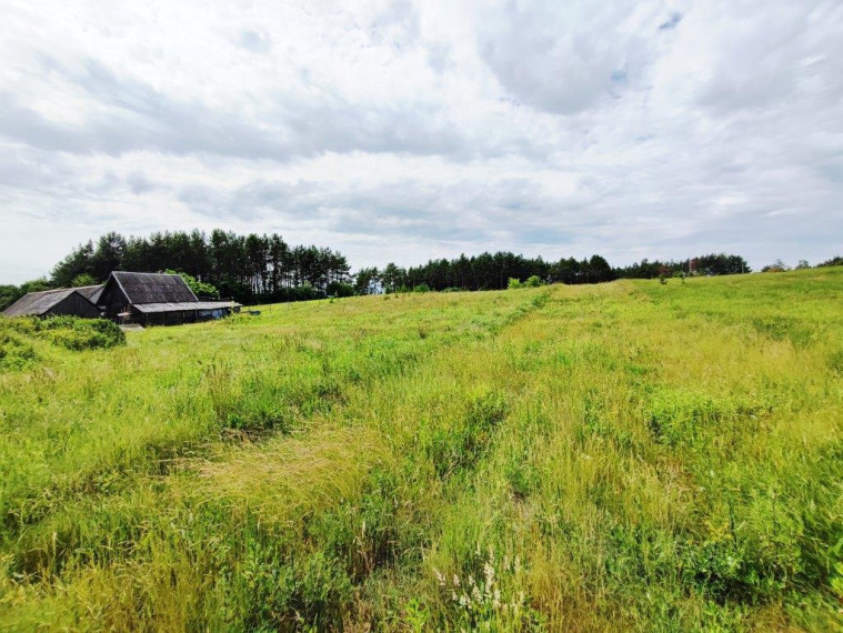 Parduodamas kitos paskirties sklypas Dobilų g., Didžiasalio k., Druskininkų sav., 12.4 a ploto 6