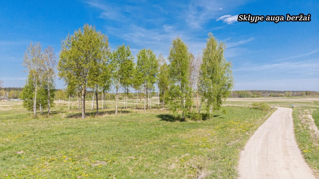 Parduodamas  sklypas Variekos k., Širvintų r. sav., 15.16 a ploto 10
