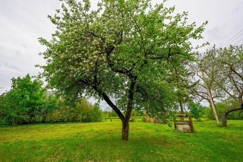 Parduodamas namas Dvaro g., Jasiuliškio k., Ukmergės r. sav., 143.58 m2 ploto, 1 aukštai 9