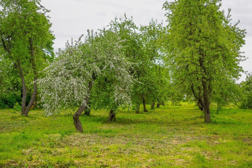 Parduodamas namas Dvaro g., Jasiuliškio k., Ukmergės r. sav., 143.58 m2 ploto, 1 aukštai 10