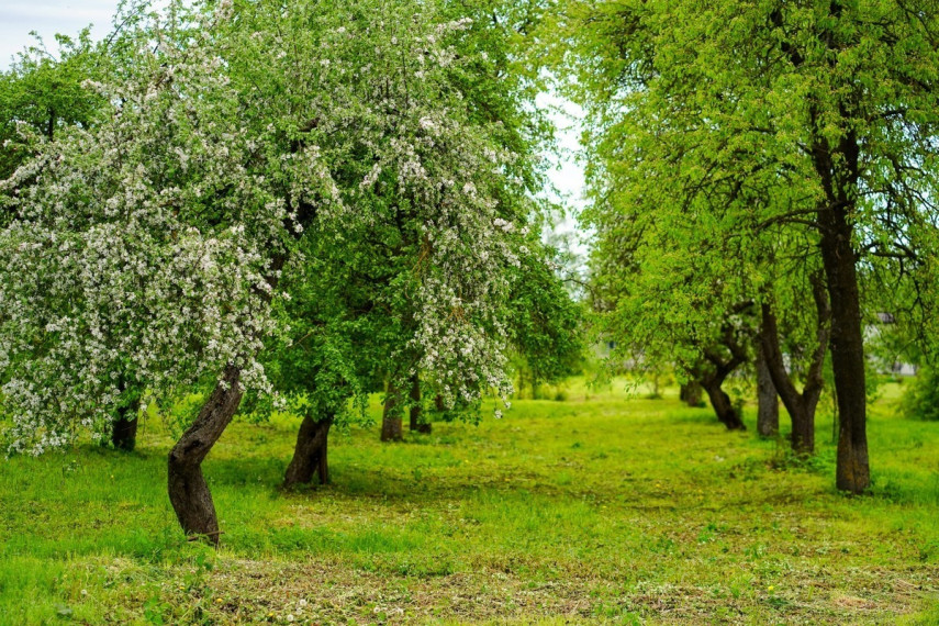 Parduodamas namas Dvaro g., Jasiuliškio k., Ukmergės r. sav., 143.58 m2 ploto, 1 aukštai 11