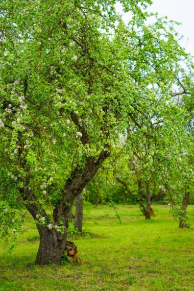 Parduodamas namas Dvaro g., Jasiuliškio k., Ukmergės r. sav., 143.58 m2 ploto, 1 aukštai 13