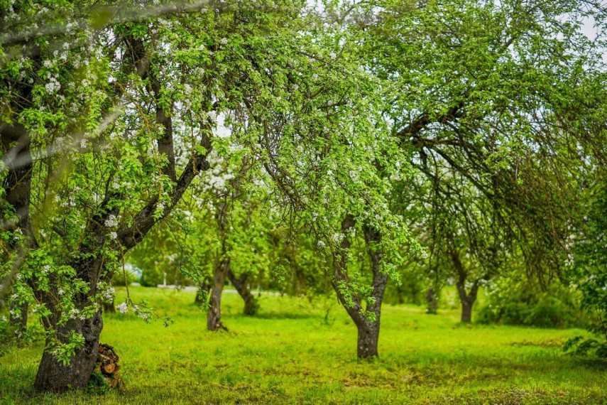 Parduodamas namas Dvaro g., Jasiuliškio k., Ukmergės r. sav., 143.58 m2 ploto, 1 aukštai 15