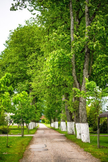 Parduodamas namas Dvaro g., Jasiuliškio k., Ukmergės r. sav., 143.58 m2 ploto, 1 aukštai 16
