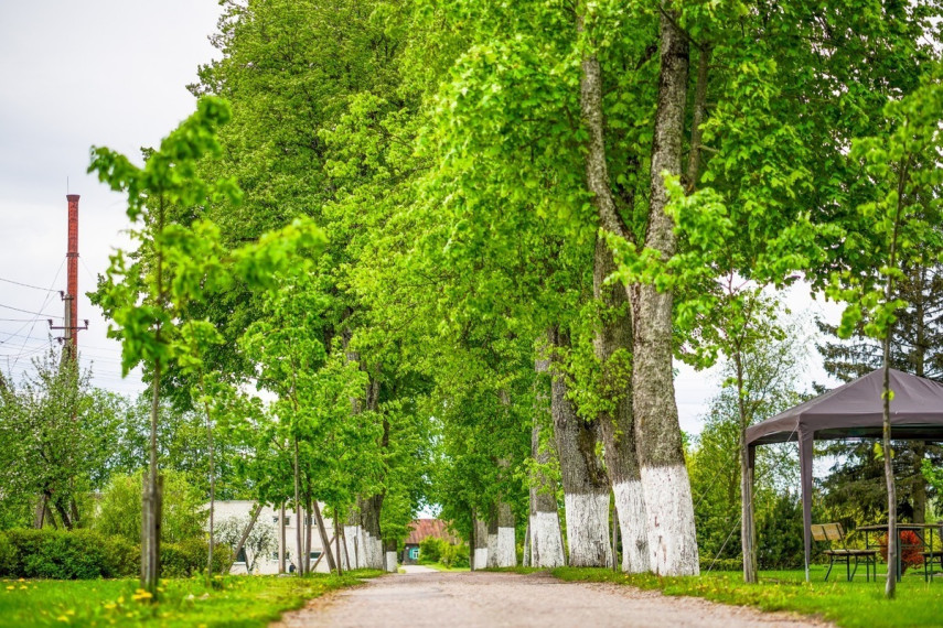 Parduodamas namas Dvaro g., Jasiuliškio k., Ukmergės r. sav., 143.58 m2 ploto, 1 aukštai 17