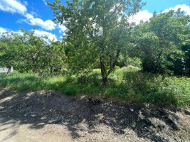 Parduodamas  sklypas Bitininkų g., Plukių k., Panevėžio r. sav., 6.98 a ploto 2