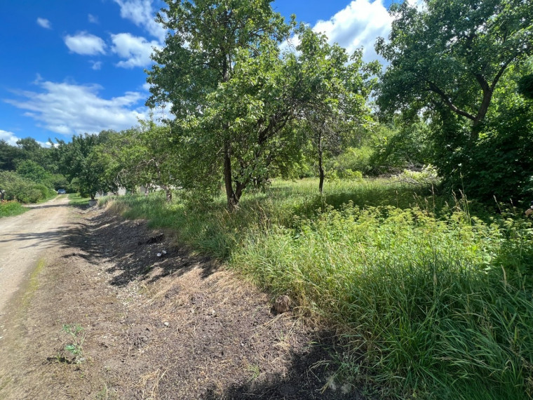 Parduodamas sklypas Bitininkų g., Plukių k., Panevėžio r. sav., 6.98 a ploto 3