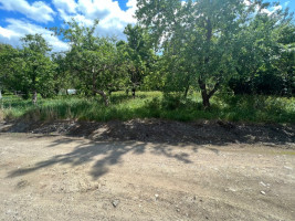 Parduodamas  sklypas Bitininkų g., Plukių k., Panevėžio r. sav., 6.98 a ploto 4