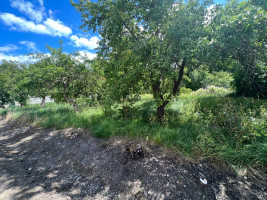 Parduodamas  sklypas Bitininkų g., Plukių k., Panevėžio r. sav., 6.98 a ploto 7