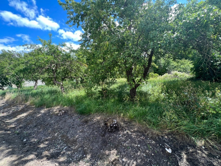 Parduodamas  sklypas Bitininkų g., Plukių k., Panevėžio r. sav., 6.98 a ploto 7
