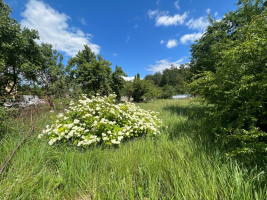 Parduodamas  sklypas Bitininkų g., Plukių k., Panevėžio r. sav., 6.98 a ploto 8