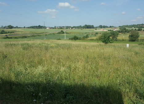 Parduodamas kitos paskirties sklypas Punsko g., Likiškių k., Alytaus r. sav., 10.14 a ploto Parduodamas kitos paskirties sklypas Punsko g., Likiškių k., Alytaus r. sav., 10.14 a ploto