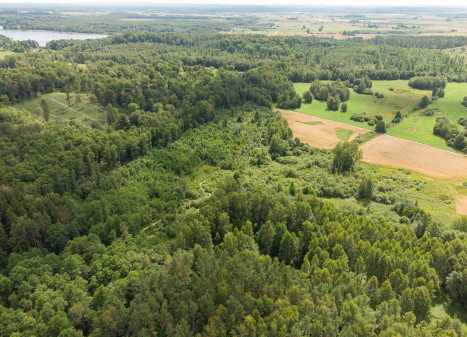 Parduodamas  sklypas Barzdžiūnų k., Vilniaus r. sav., 84.81 a ploto