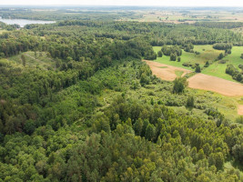 Parduodamas  sklypas Barzdžiūnų k., Vilniaus r. sav., 84.81 a ploto 1