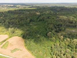 Parduodamas  sklypas Barzdžiūnų k., Vilniaus r. sav., 84.81 a ploto 5