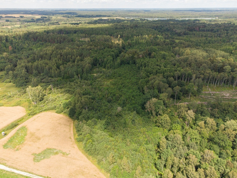 Parduodamas sklypas Barzdžiūnų k., Vilniaus r. sav., 84.81 a ploto 5