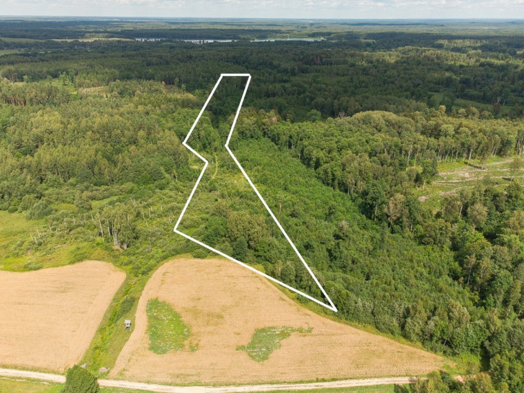 Parduodamas  sklypas Barzdžiūnų k., Vilniaus r. sav., 84.81 a ploto 9