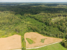Parduodamas  sklypas Barzdžiūnų k., Vilniaus r. sav., 84.81 a ploto 10