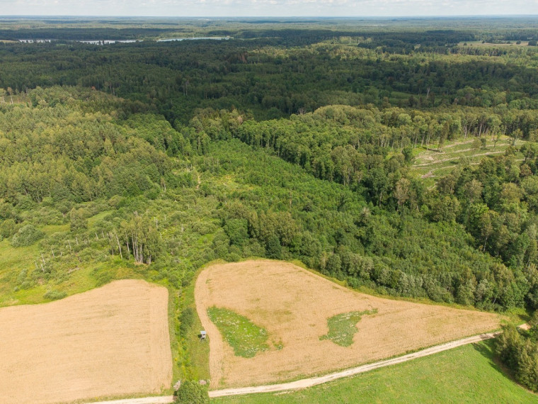 Parduodamas  sklypas Barzdžiūnų k., Vilniaus r. sav., 84.81 a ploto 10