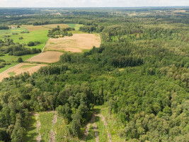 Parduodamas  sklypas Barzdžiūnų k., Vilniaus r. sav., 84.81 a ploto 15