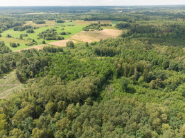 Parduodamas  sklypas Barzdžiūnų k., Vilniaus r. sav., 84.81 a ploto 16