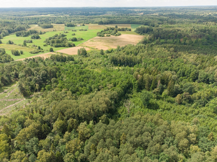 Parduodamas  sklypas Barzdžiūnų k., Vilniaus r. sav., 84.81 a ploto 16