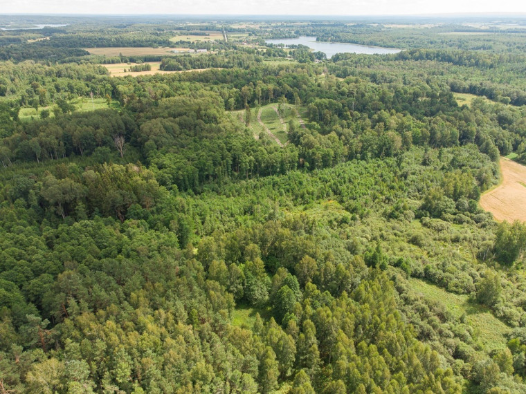 Parduodamas  sklypas Barzdžiūnų k., Vilniaus r. sav., 84.81 a ploto 19