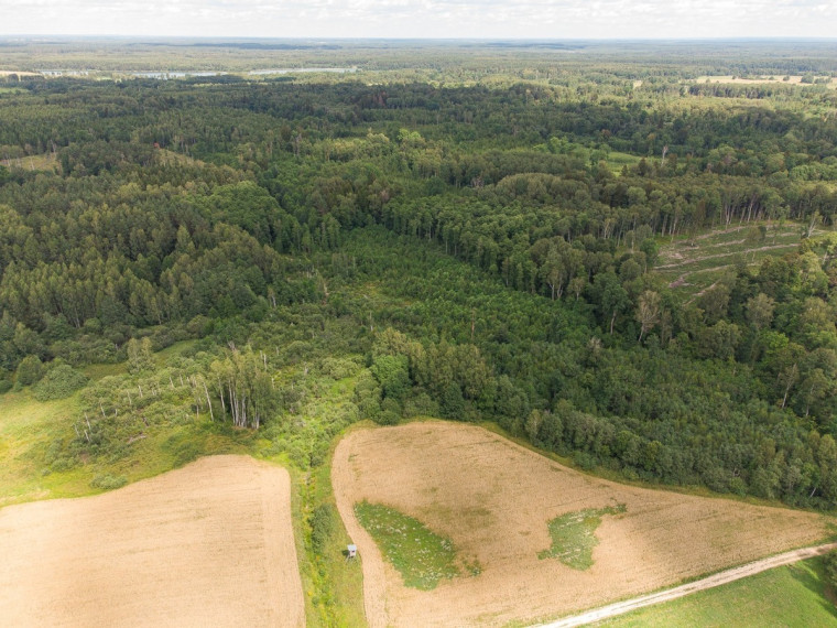 Parduodamas sklypas Barzdžiūnų k., Vilniaus r. sav., 84.81 a ploto 3