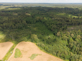 Parduodamas  sklypas Barzdžiūnų k., Vilniaus r. sav., 84.81 a ploto 4