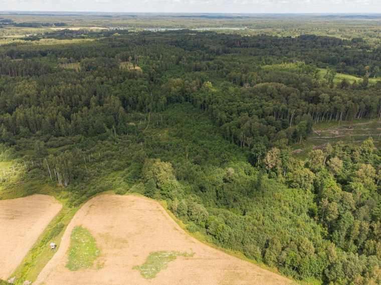 Parduodamas sklypas Barzdžiūnų k., Vilniaus r. sav., 84.81 a ploto 4