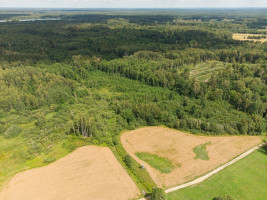Parduodamas  sklypas Barzdžiūnų k., Vilniaus r. sav., 84.81 a ploto 11