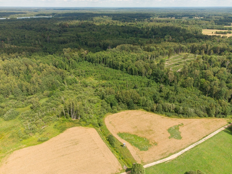 Parduodamas  sklypas Barzdžiūnų k., Vilniaus r. sav., 84.81 a ploto 11