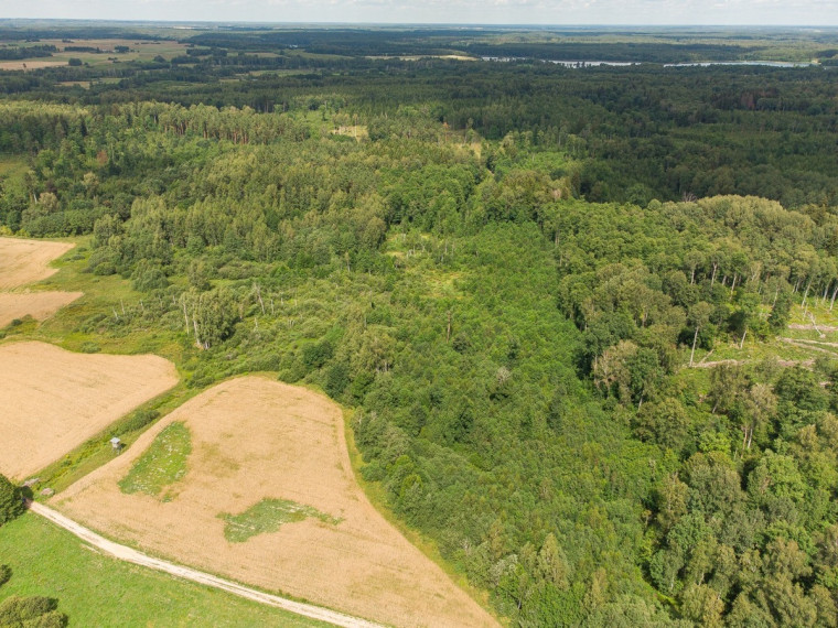 Parduodamas  sklypas Barzdžiūnų k., Vilniaus r. sav., 84.81 a ploto 12