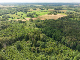 Parduodamas  sklypas Barzdžiūnų k., Vilniaus r. sav., 84.81 a ploto 14