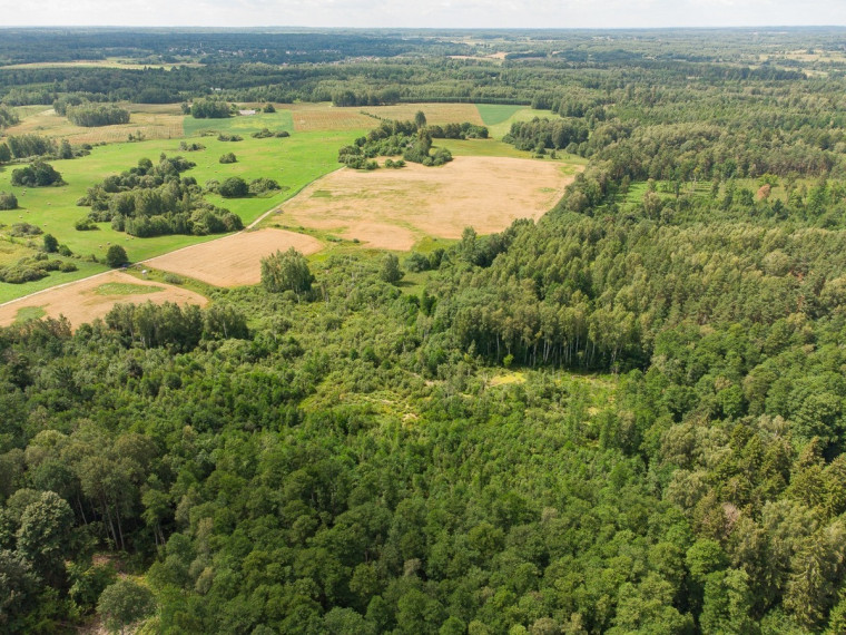 Parduodamas  sklypas Barzdžiūnų k., Vilniaus r. sav., 84.81 a ploto 21