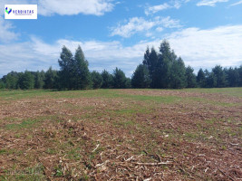 Parduodamas sklypas Vaišupio g., Žiūkų k., Alytaus r. sav., 155.00 a ploto 14