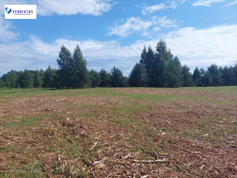 Parduodamas sklypas Vaišupio g., Žiūkų k., Alytaus r. sav., 155.00 a ploto 14