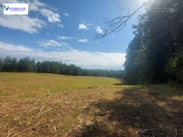 Parduodamas sklypas Vaišupio g., Žiūkų k., Alytaus r. sav., 155.00 a ploto 18