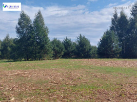 Parduodamas sklypas Vaišupio g., Žiūkų k., Alytaus r. sav., 155.00 a ploto 19