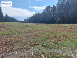 Parduodamas sklypas Vaišupio g., Žiūkų k., Alytaus r. sav., 155.00 a ploto 3