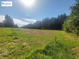 Parduodamas sklypas Vaišupio g., Žiūkų k., Alytaus r. sav., 155.00 a ploto 4