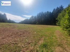 Parduodamas sklypas Vaišupio g., Žiūkų k., Alytaus r. sav., 155.00 a ploto 5