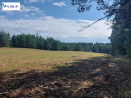 Parduodamas sklypas Vaišupio g., Žiūkų k., Alytaus r. sav., 155.00 a ploto 6