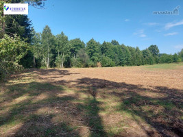 Parduodamas sklypas Vaišupio g., Žiūkų k., Alytaus r. sav., 155.00 a ploto 7